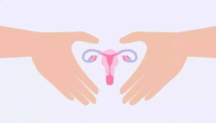 女性排卵期更易感染疾病